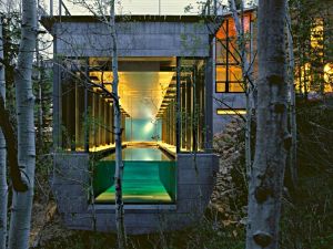 Images of modern houses in a garden setting - internal pool.jpg